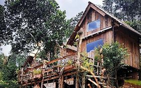 Tổ Chim Ri Homestay Măng Đen